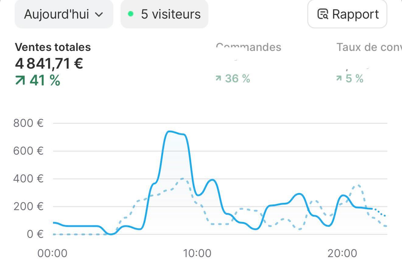 Dashboard Shopify 4841€
