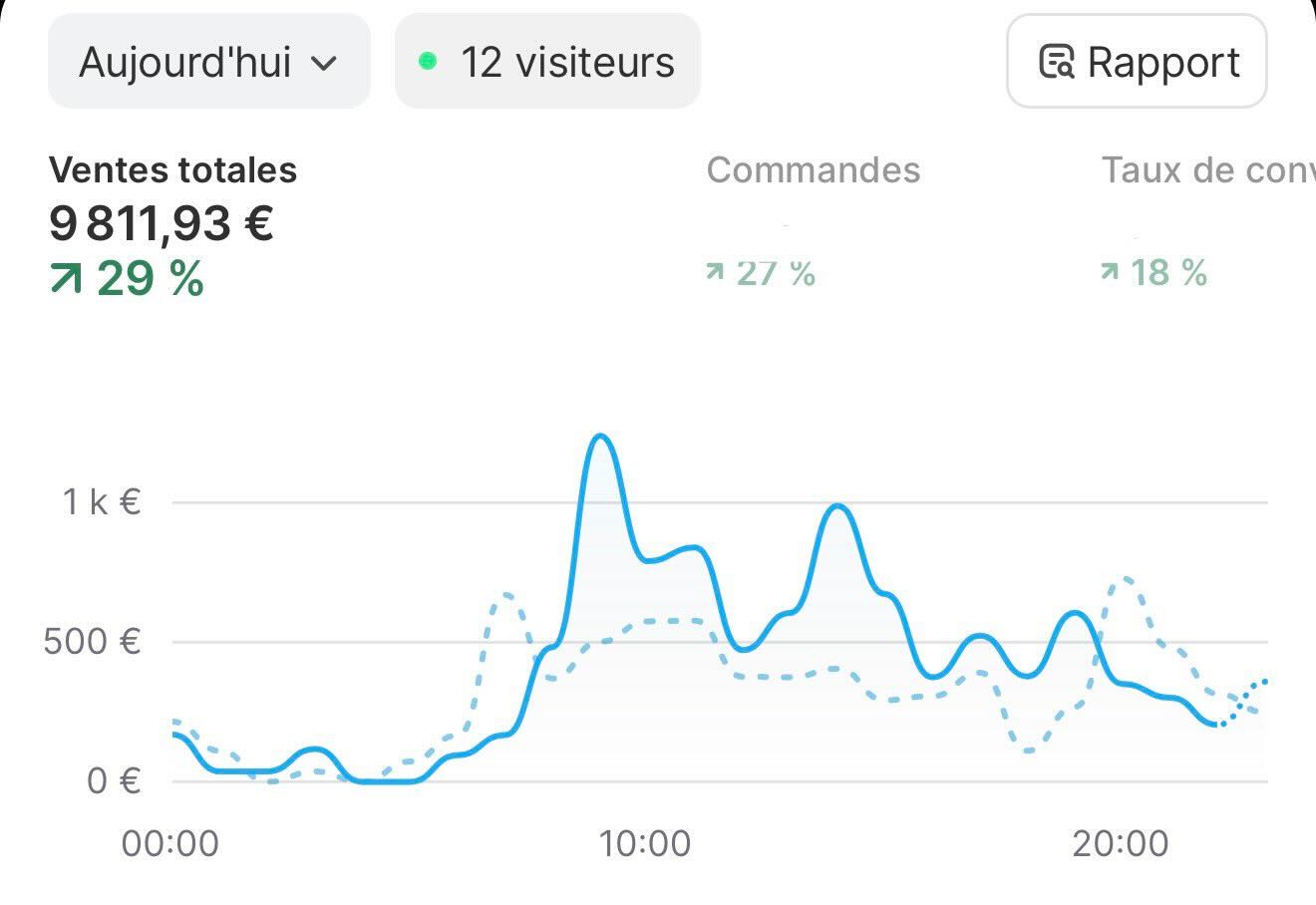 Dashboard Shopify 9811€